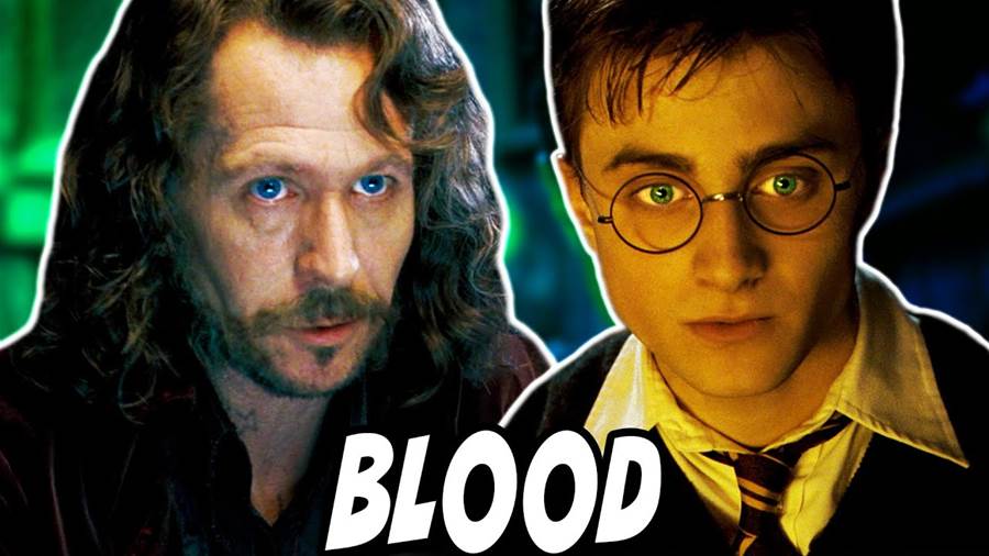 In the wizarding world of Harry Potter, bonds between characters run